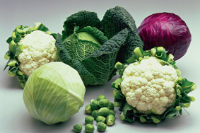 kans op orale kanker kleiner door groenten